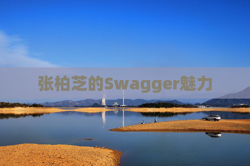 张柏芝的Swagger魅力